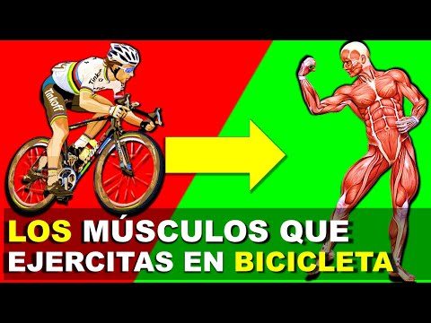 Tonifica tus músculos en menos tiempo con la bicicleta